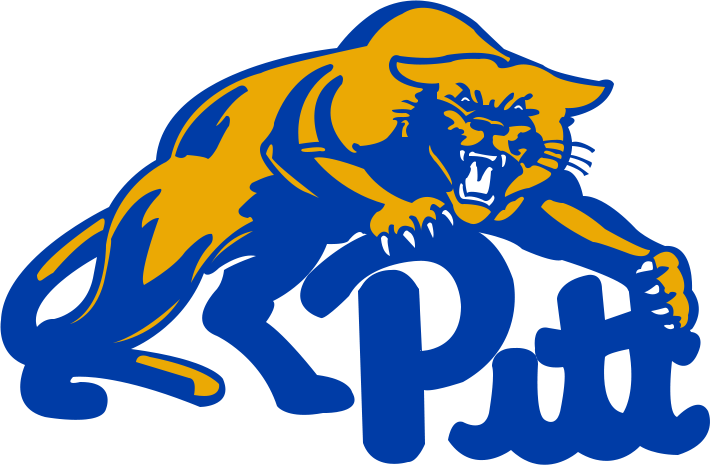Pittsburgh Panthers 1994-1997 Secondary Logo v3 diy iron on heat transfer